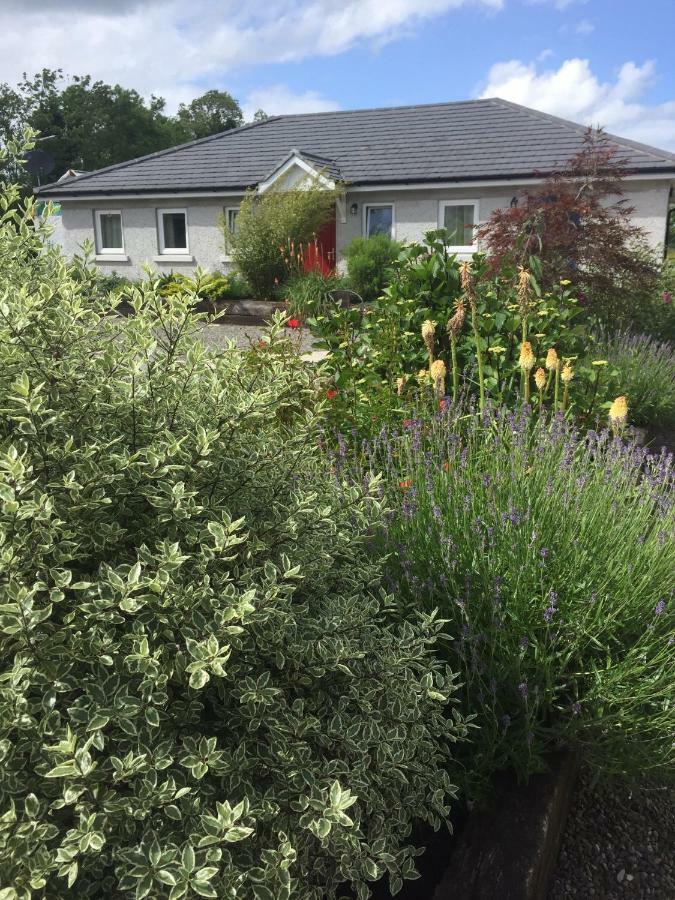A Selection Of Self Catering Holiday Homes At Kilcloon Cottages Maynooth Exterior photo